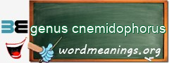 WordMeaning blackboard for genus cnemidophorus